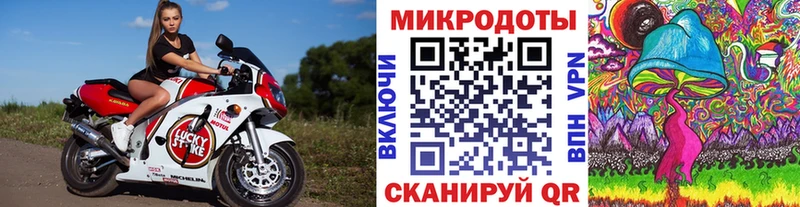 Галлюциногенные грибы Magic Shrooms  Ипатово 